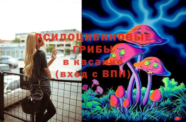 соль ск Лагань