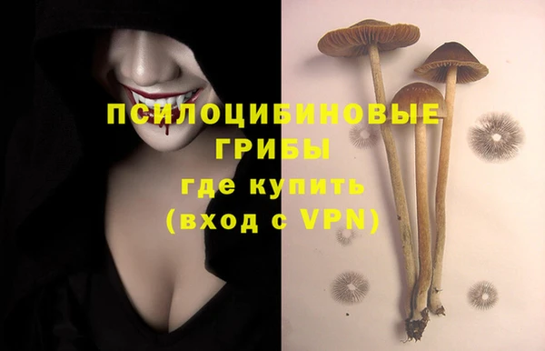 spice Абдулино