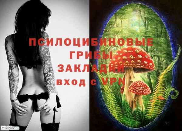 spice Абдулино