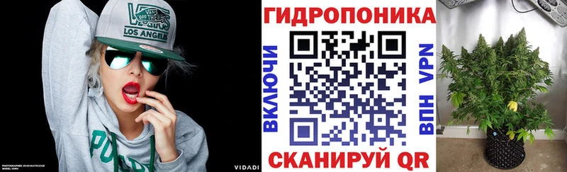 Конопля гибрид  Александровск 
